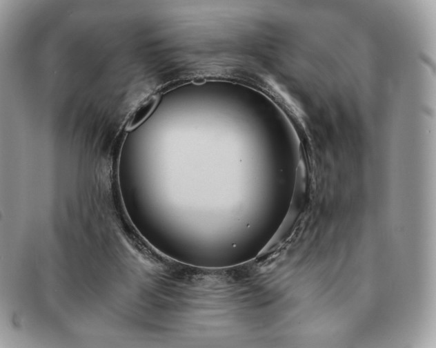 X0000091300107200708171401