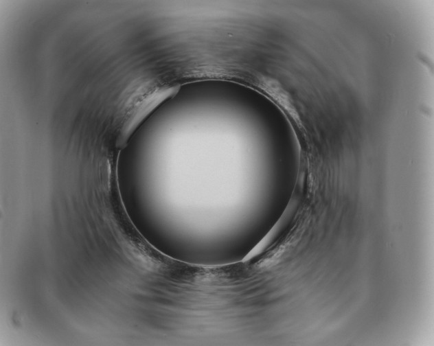 X0000091300109200708171401