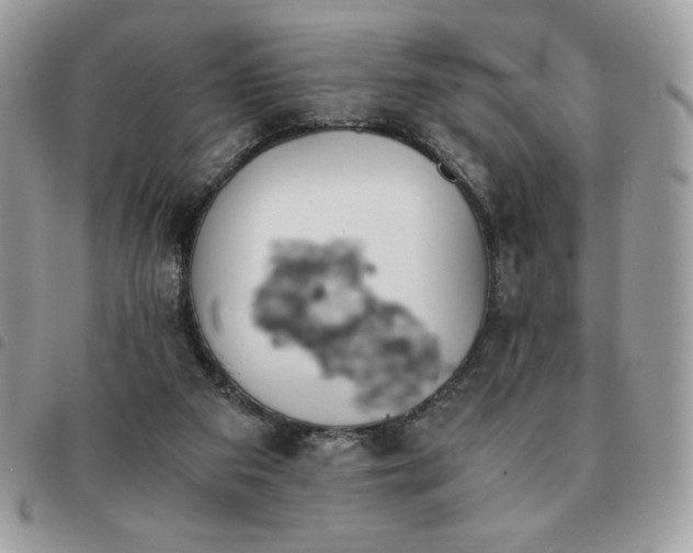 X0000091300113200708171401