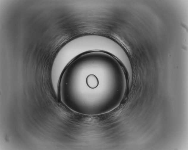 X0000091300117200708171401