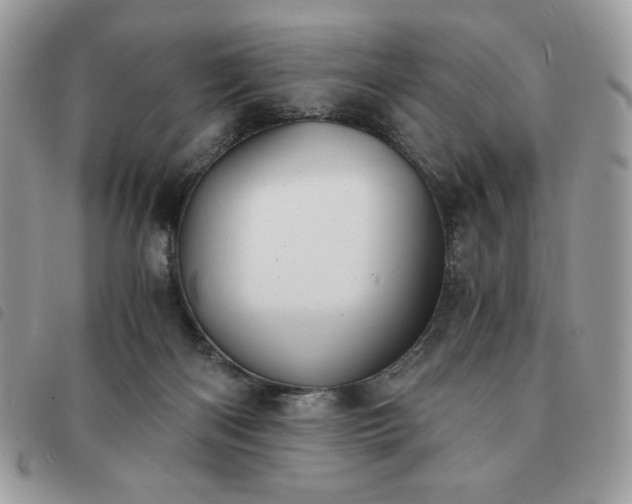 X0000091300122200708171401