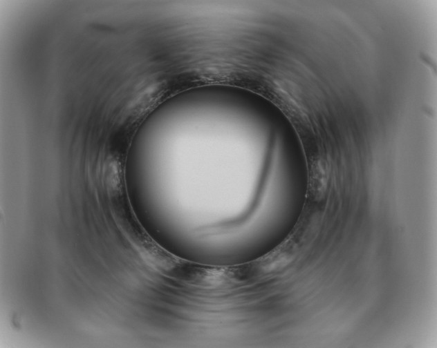 X0000091300130200708171401