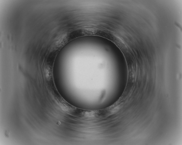 X0000091300134200708171400