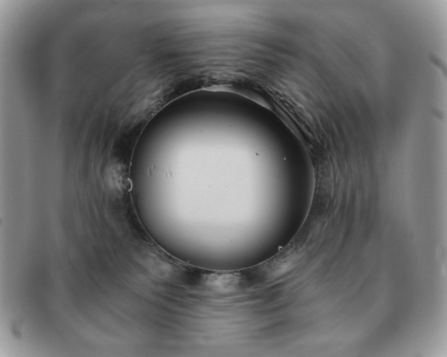 X0000091300135200708171400