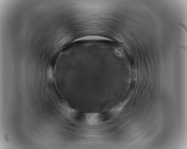 X0000091300143200708171400