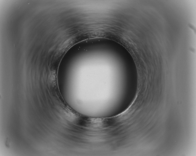 X0000091300144200708171400