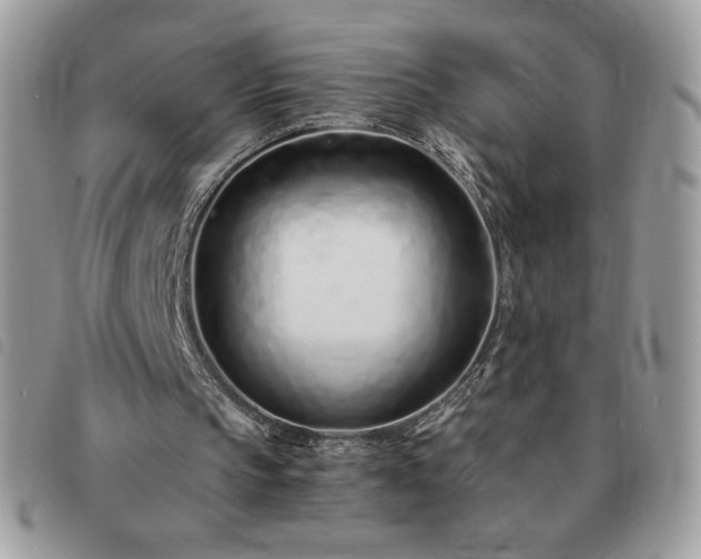 X0000091300145200708171400