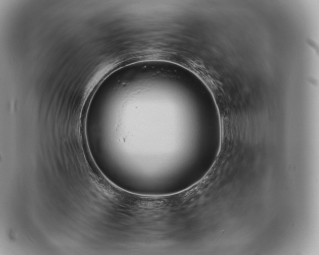 X0000091300147200708171400