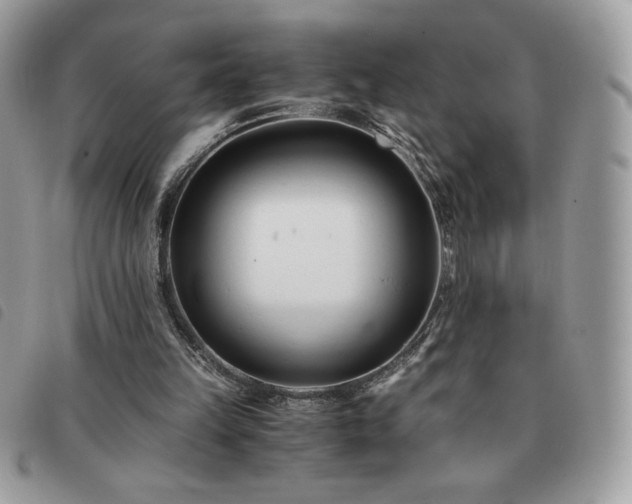 X0000091300149200708171400