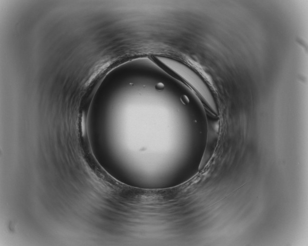 X0000091300154200708171400