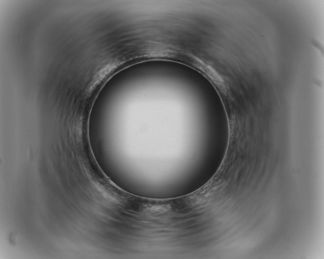 X0000091300155200708171400