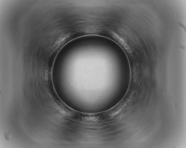 X0000091300161200708171400