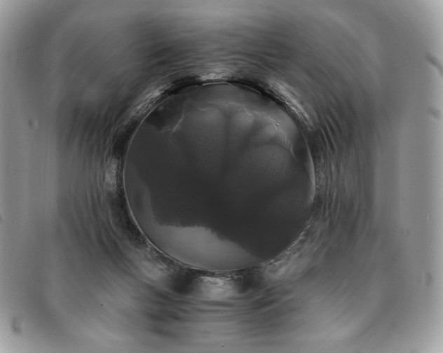 X0000091300167200708171400