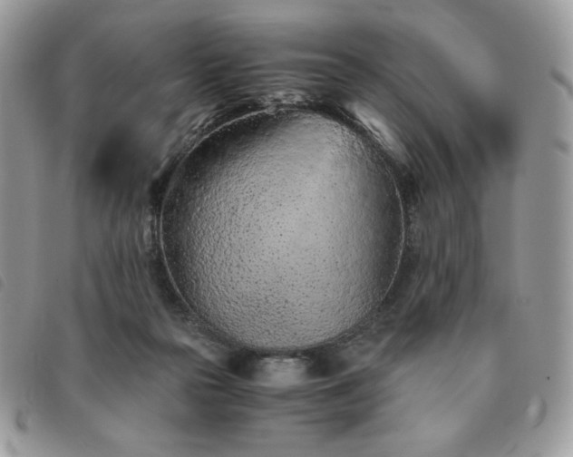 X0000091300169200708171400