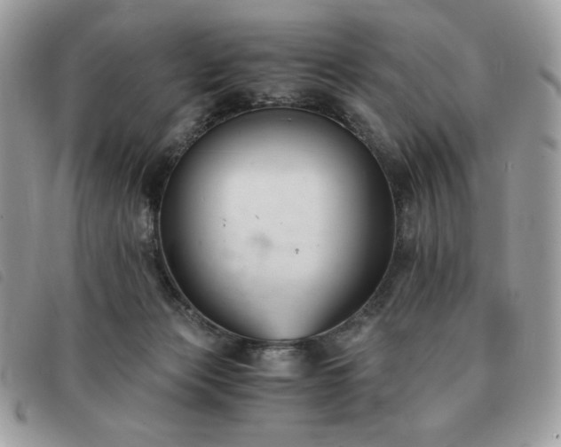 X0000091300173200708171400