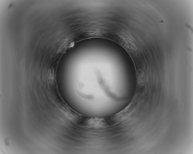 X0000091300179200708171400