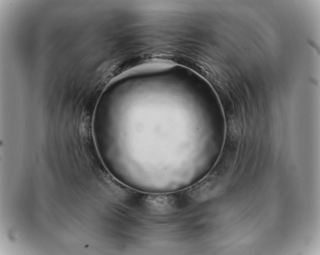 X0000091300181200708171400