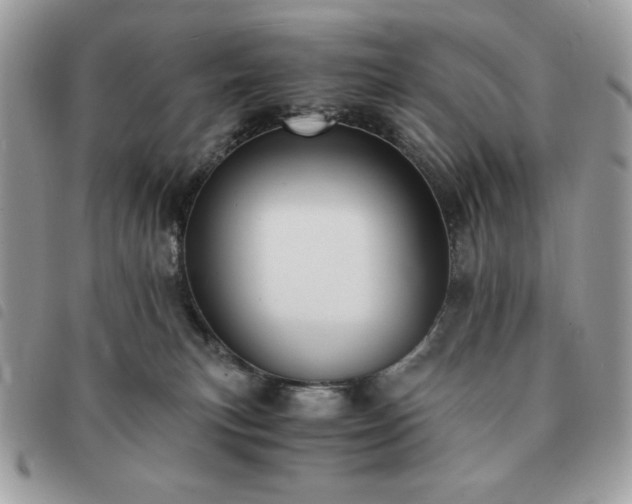 X0000091300183200708171400