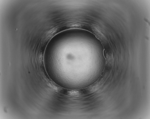 X0000091300189200708171400