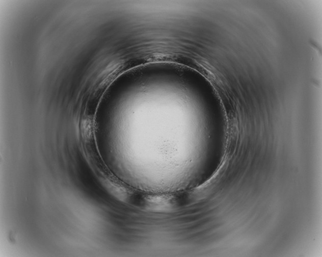 X0000091300191200708171400