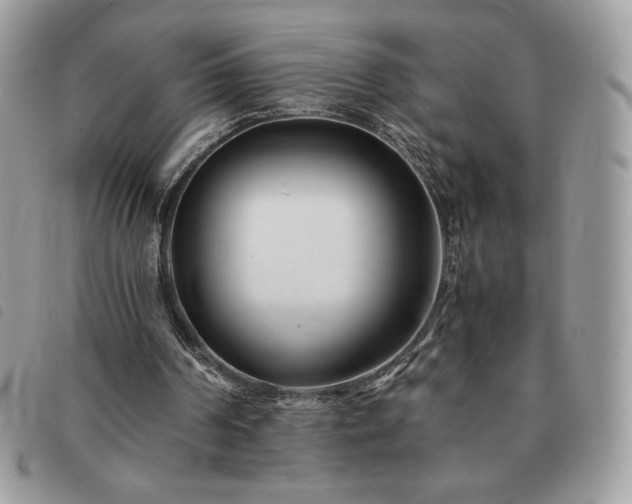 X0000091300194200708171400