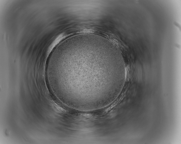 X0000091300195200708171400