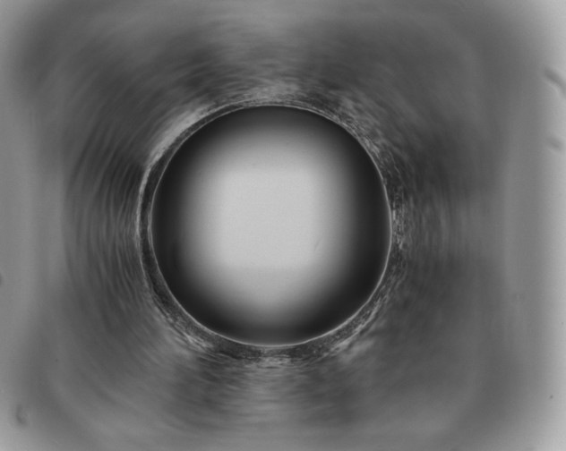 X0000091300196200708171400