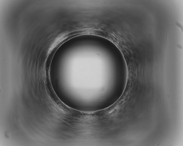 X0000091300198200708171400