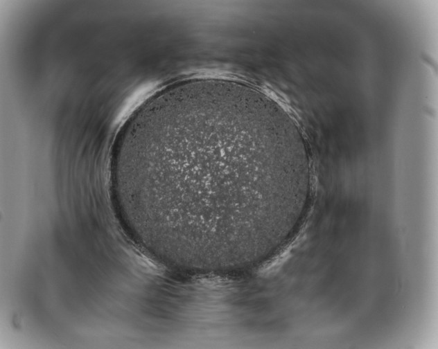 X0000091300199200708171400