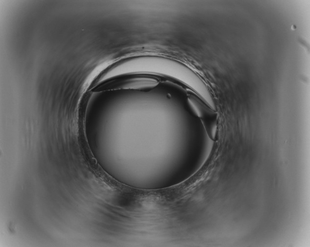 X0000091300200200708171400