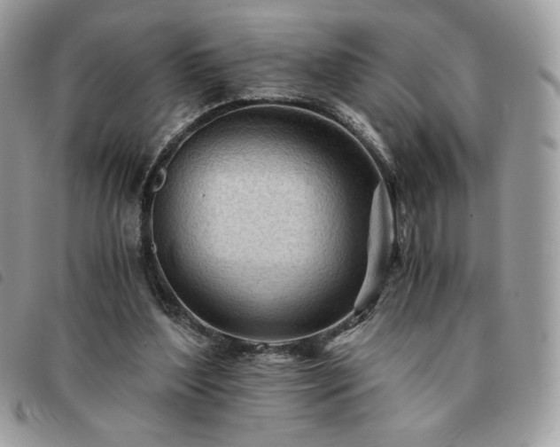 X0000091300204200708171359