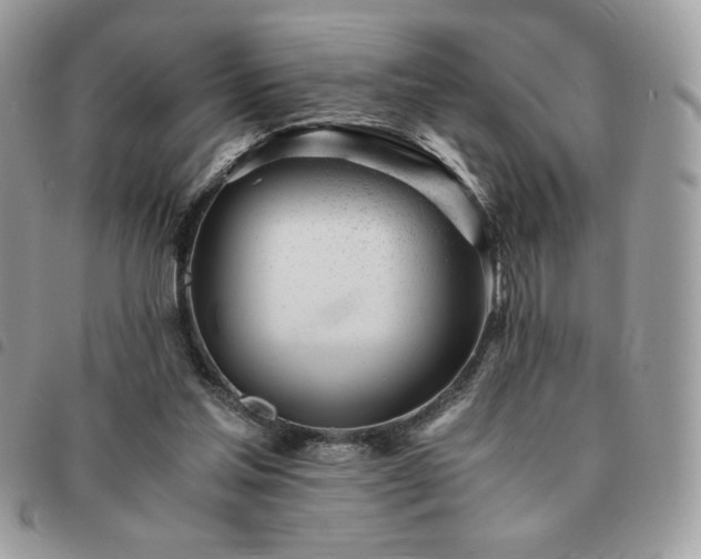 X0000091300205200708171359