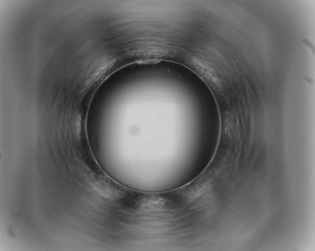 X0000091300206200708171359