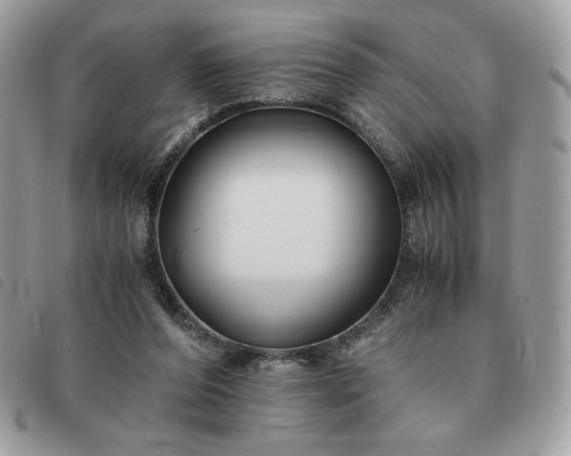 X0000091300208200708171359