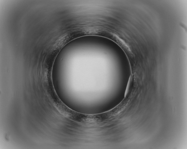 X0000091300209200708171359