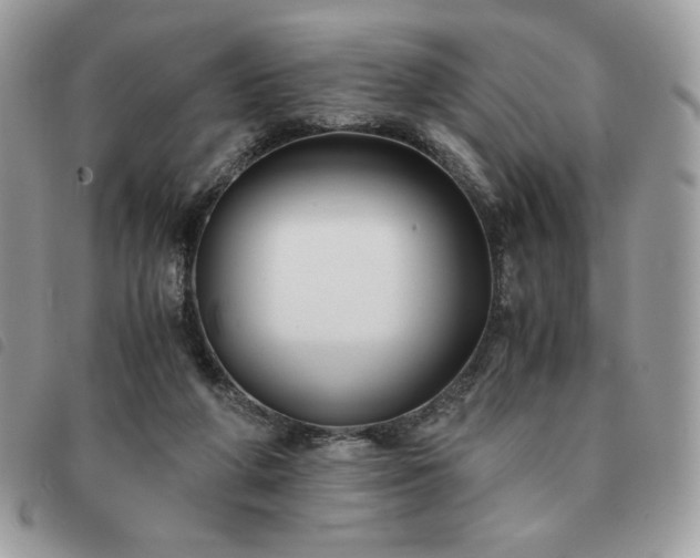 X0000091300210200708171359