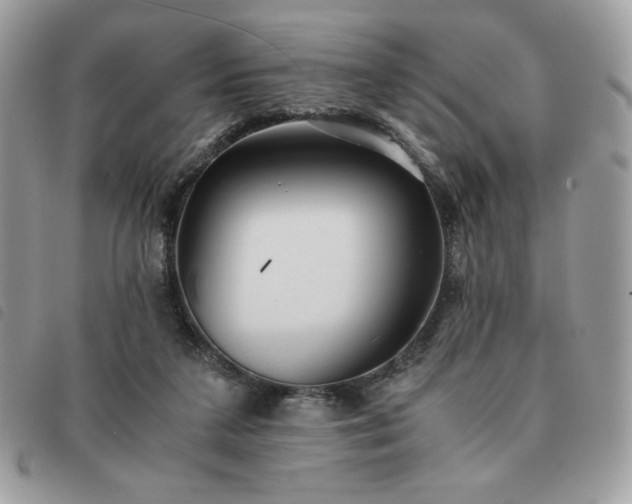 X0000091300211200708171359