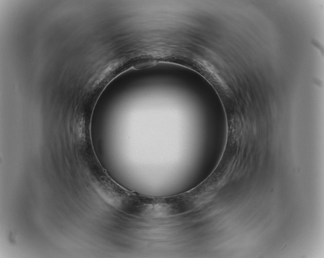 X0000091300212200708171359