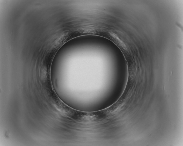 X0000091300213200708171359