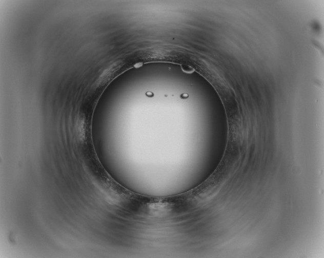 X0000091300216200708171359