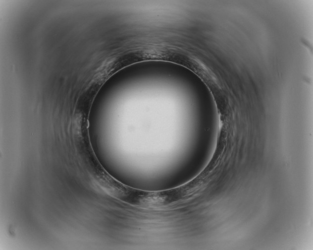 X0000091300217200708171359