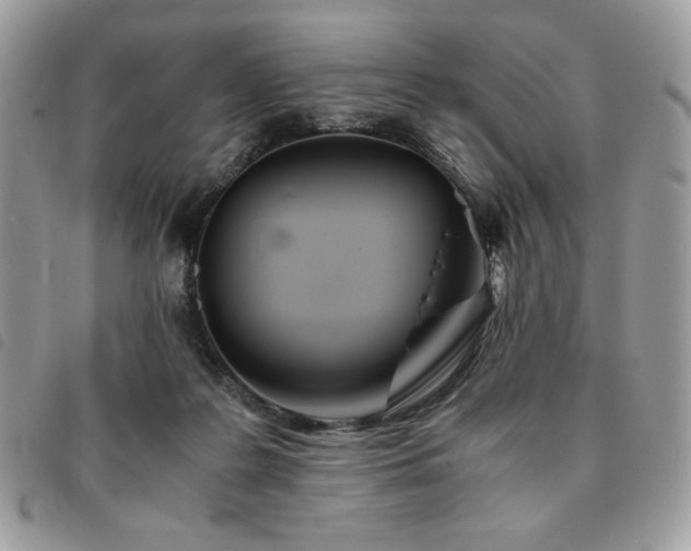 X0000091300219200708171359