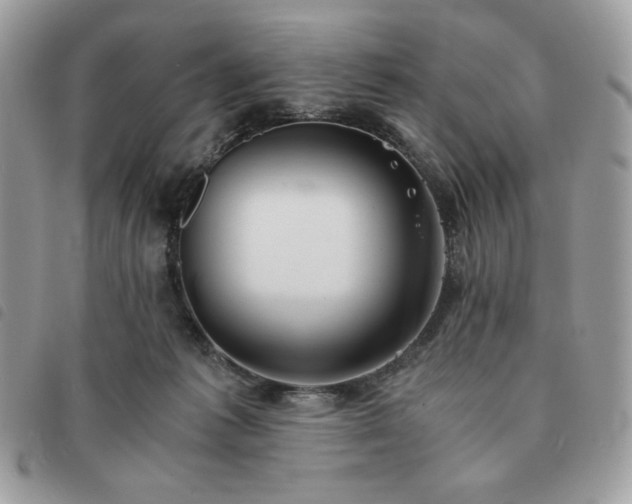 X0000091300221200708171359