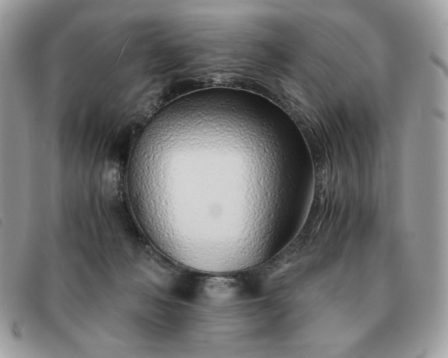 X0000091300222200708171359