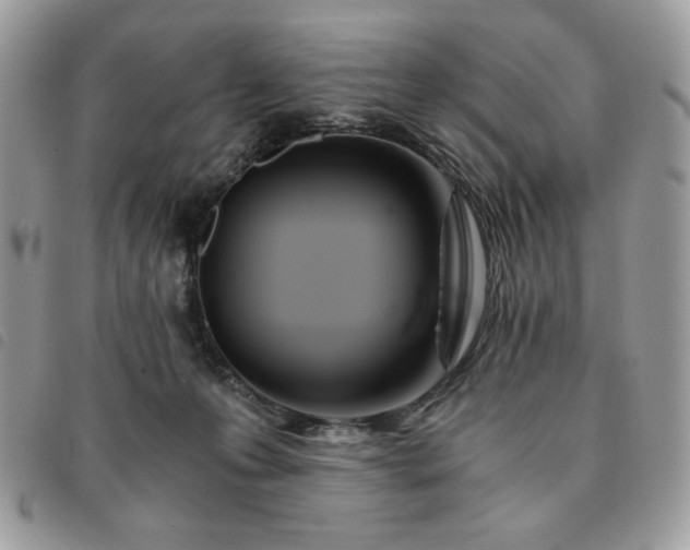 X0000091300223200708171359