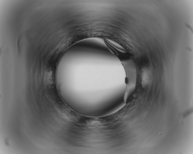 X0000091300224200708171359