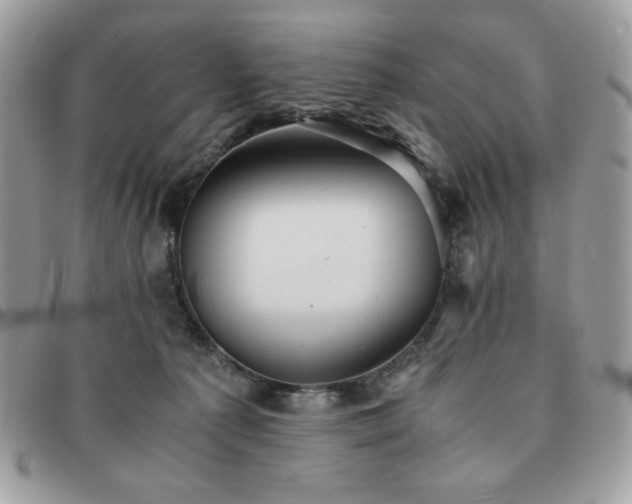 X0000091300225200708171359