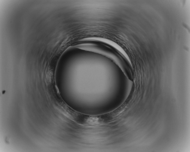 X0000091300227200708171359