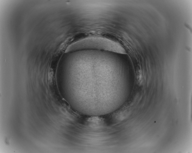 X0000091300231200708171359