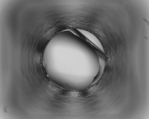 X0000091300233200708171359